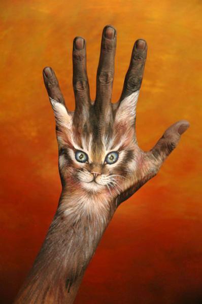 chat